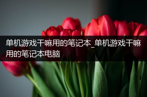 单机游戏干嘛用的笔记本_单机游戏干嘛用的笔记本电脑