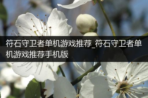 符石守卫者单机游戏推荐_符石守卫者单机游戏推荐手机版