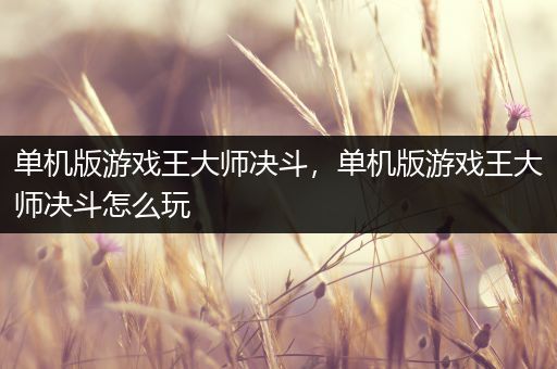 单机版游戏王大师决斗，单机版游戏王大师决斗怎么玩