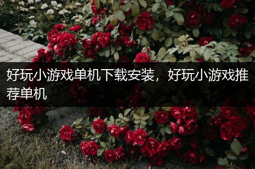 好玩小游戏单机下载安装，好玩小游戏推荐单机