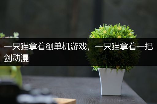 一只猫拿着剑单机游戏，一只猫拿着一把剑动漫