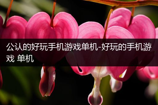 公认的好玩手机游戏单机-好玩的手机游戏 单机