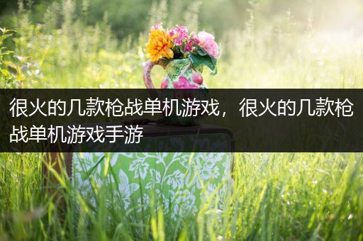 很火的几款枪战单机游戏，很火的几款枪战单机游戏手游