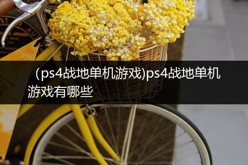 （ps4战地单机游戏)ps4战地单机游戏有哪些