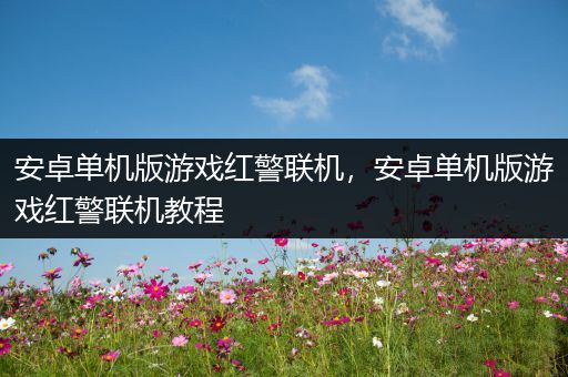 安卓单机版游戏红警联机，安卓单机版游戏红警联机教程