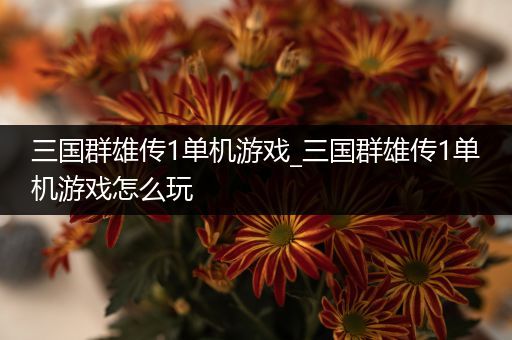三国群雄传1单机游戏_三国群雄传1单机游戏怎么玩