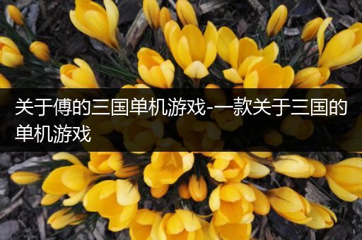 关于傅的三国单机游戏-一款关于三国的单机游戏