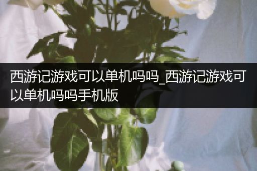 西游记游戏可以单机吗吗_西游记游戏可以单机吗吗手机版