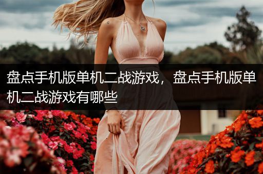 盘点手机版单机二战游戏，盘点手机版单机二战游戏有哪些