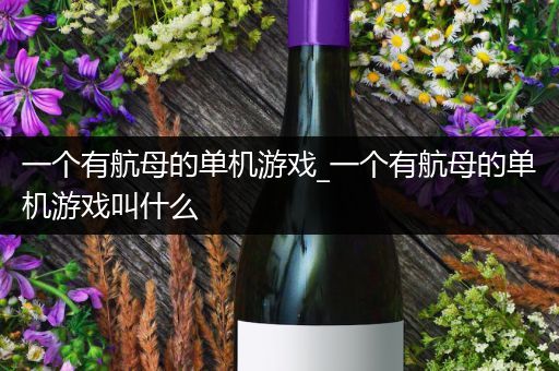 一个有航母的单机游戏_一个有航母的单机游戏叫什么