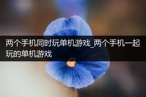 两个手机同时玩单机游戏_两个手机一起玩的单机游戏