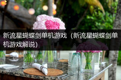 新流星蝴蝶剑单机游戏（新流星蝴蝶剑单机游戏解说）