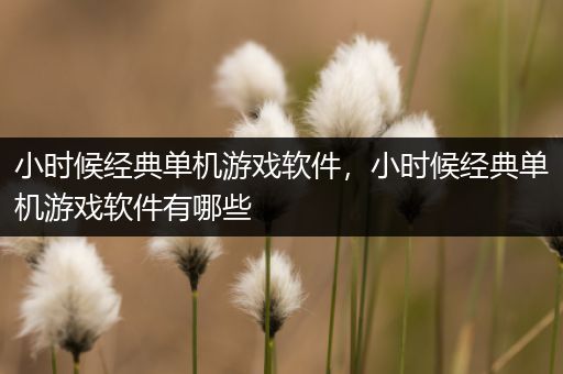 小时候经典单机游戏软件，小时候经典单机游戏软件有哪些