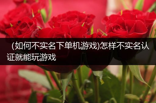 （如何不实名下单机游戏)怎样不实名认证就能玩游戏