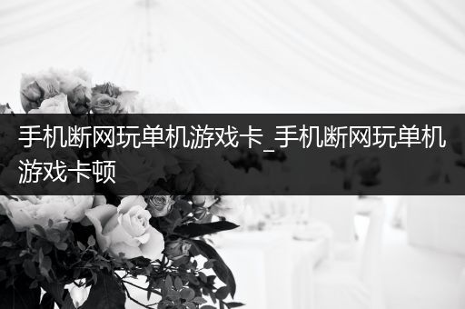 手机断网玩单机游戏卡_手机断网玩单机游戏卡顿
