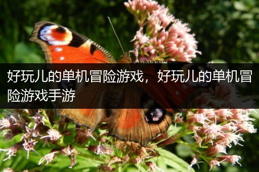 好玩儿的单机冒险游戏，好玩儿的单机冒险游戏手游