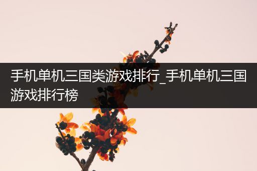 手机单机三国类游戏排行_手机单机三国游戏排行榜