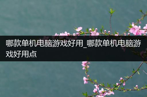 哪款单机电脑游戏好用_哪款单机电脑游戏好用点