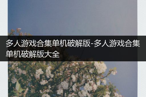 多人游戏合集单机破解版-多人游戏合集单机破解版大全