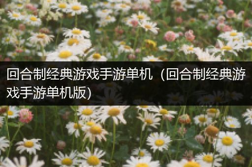 回合制经典游戏手游单机（回合制经典游戏手游单机版）