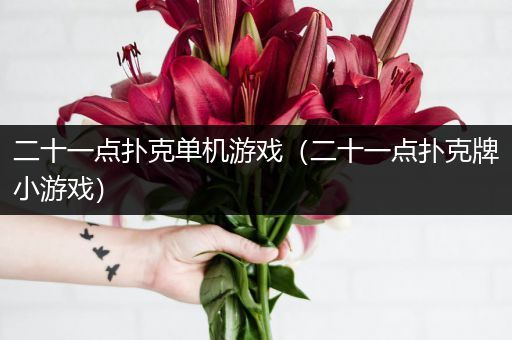 二十一点扑克单机游戏（二十一点扑克牌小游戏）