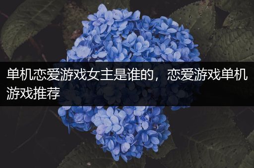 单机恋爱游戏女主是谁的，恋爱游戏单机游戏推荐