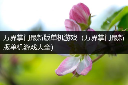 万界掌门最新版单机游戏（万界掌门最新版单机游戏大全）