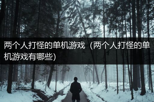 两个人打怪的单机游戏（两个人打怪的单机游戏有哪些）