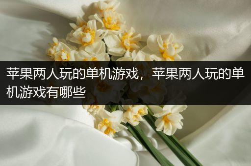 苹果两人玩的单机游戏，苹果两人玩的单机游戏有哪些