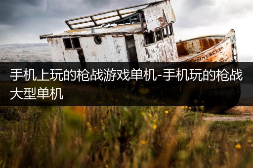 手机上玩的枪战游戏单机-手机玩的枪战大型单机
