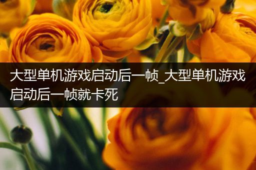大型单机游戏启动后一帧_大型单机游戏启动后一帧就卡死
