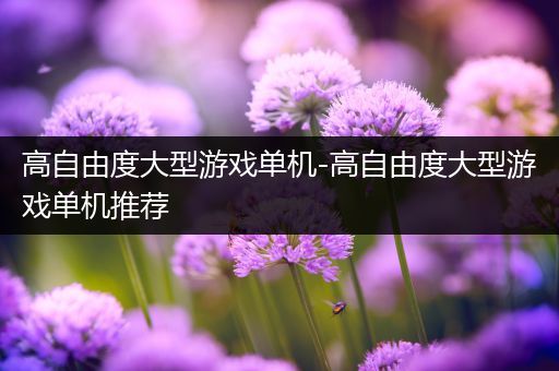 高自由度大型游戏单机-高自由度大型游戏单机推荐