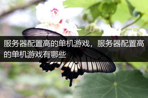 服务器配置高的单机游戏，服务器配置高的单机游戏有哪些
