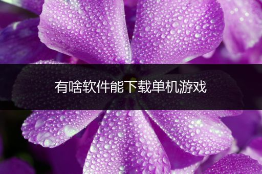有啥软件能下载单机游戏