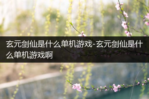 玄元剑仙是什么单机游戏-玄元剑仙是什么单机游戏啊