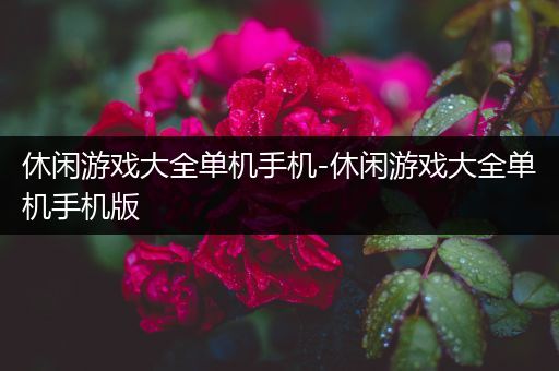 休闲游戏大全单机手机-休闲游戏大全单机手机版