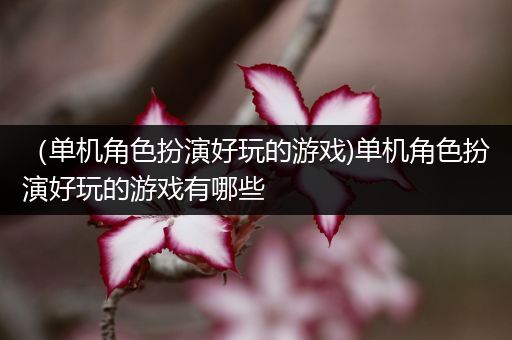 （单机角色扮演好玩的游戏)单机角色扮演好玩的游戏有哪些
