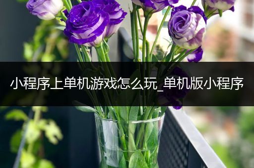 小程序上单机游戏怎么玩_单机版小程序
