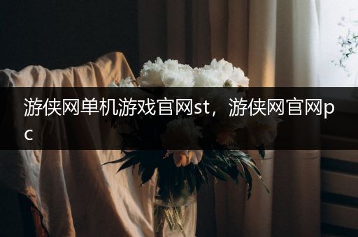 游侠网单机游戏官网st，游侠网官网pc