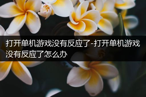 打开单机游戏没有反应了-打开单机游戏没有反应了怎么办