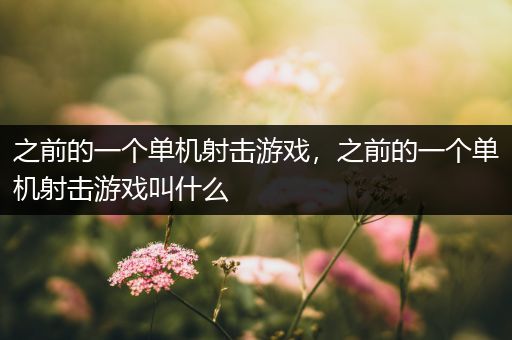 之前的一个单机射击游戏，之前的一个单机射击游戏叫什么