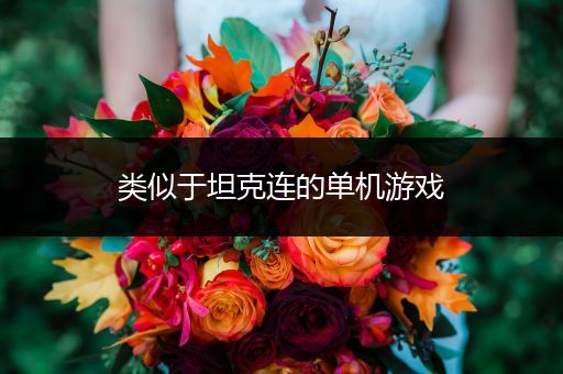 类似于坦克连的单机游戏