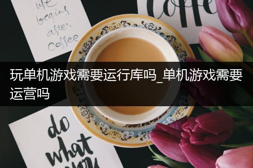 玩单机游戏需要运行库吗_单机游戏需要运营吗