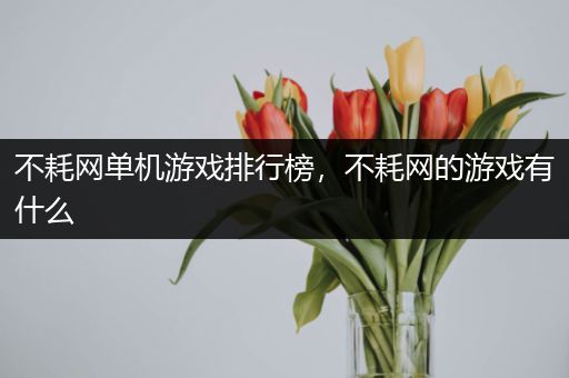 不耗网单机游戏排行榜，不耗网的游戏有什么