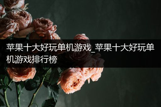 苹果十大好玩单机游戏_苹果十大好玩单机游戏排行榜