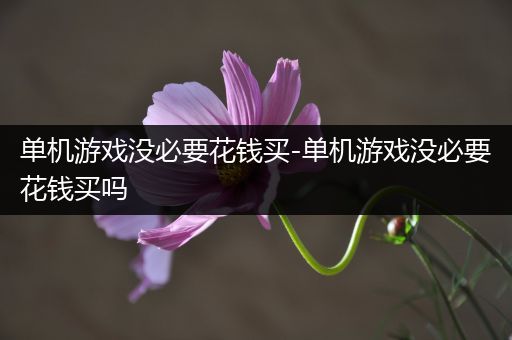 单机游戏没必要花钱买-单机游戏没必要花钱买吗