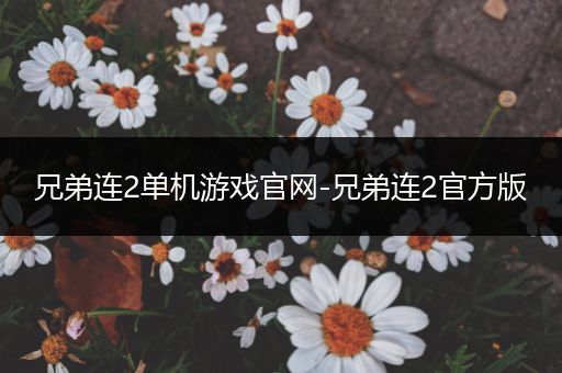 兄弟连2单机游戏官网-兄弟连2官方版