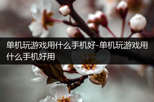 单机玩游戏用什么手机好-单机玩游戏用什么手机好用