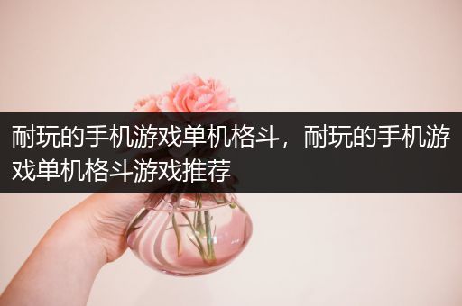 耐玩的手机游戏单机格斗，耐玩的手机游戏单机格斗游戏推荐