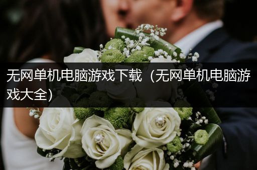 无网单机电脑游戏下载（无网单机电脑游戏大全）